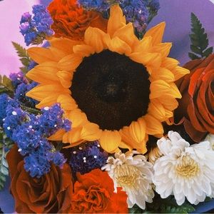 Meet your Posher, Tanya